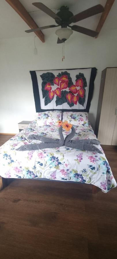 Hostal Henua Roa 2 Apartman Hanga Roa Kültér fotó